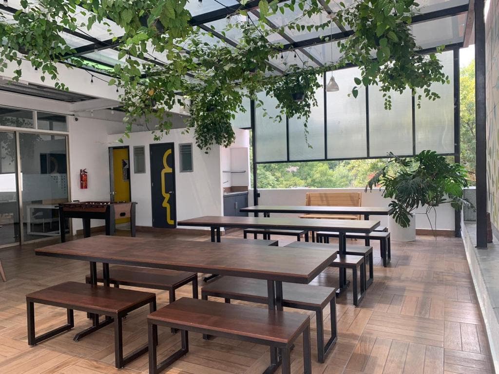Comedor con mesas comunales de madera bajo un techo de cristal con plantas colgantes