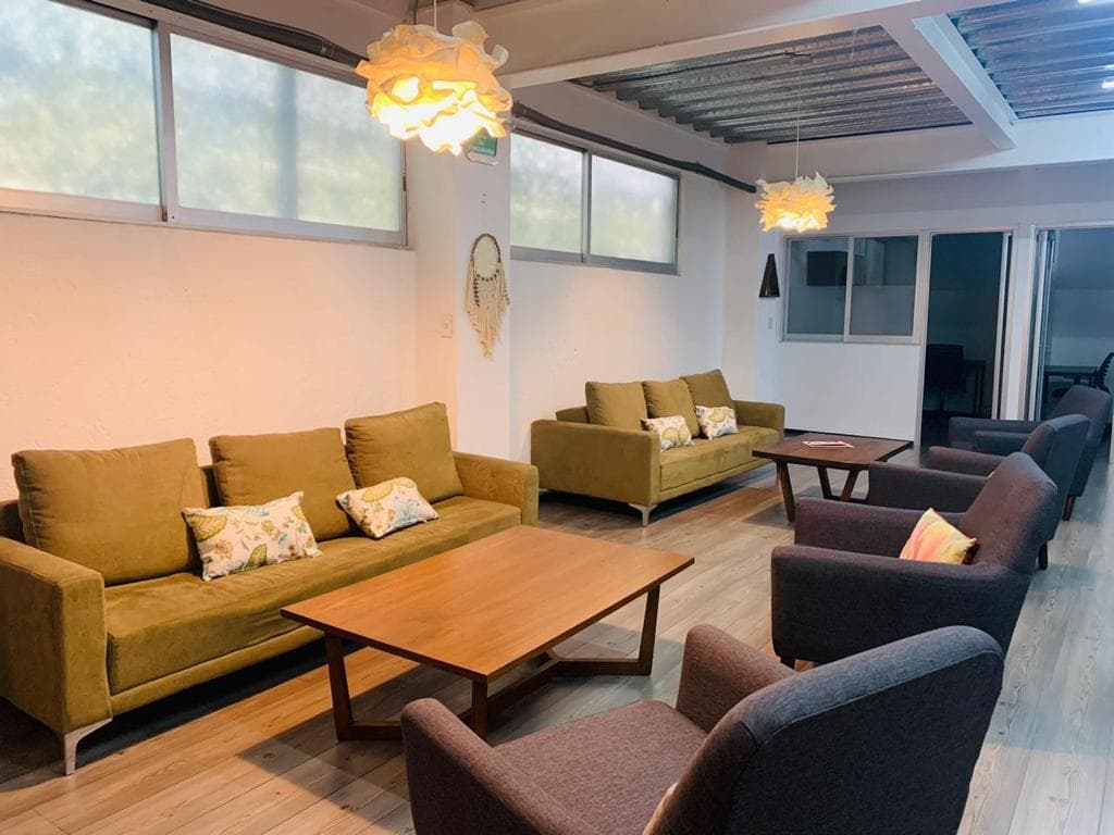 Sala de estar con sofás verde olivo, sillones y mesas de centro de madera